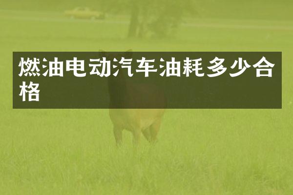 燃油电动汽车油耗多少合格