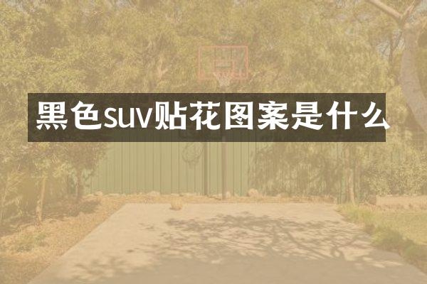 黑色suv贴花图案是什么