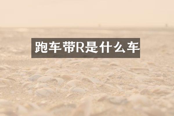 跑车带R是什么车