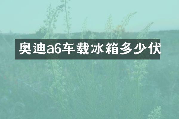 奥迪a6车载冰箱多少伏