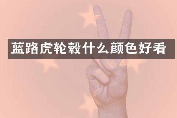 蓝路虎轮毂什么颜色好看