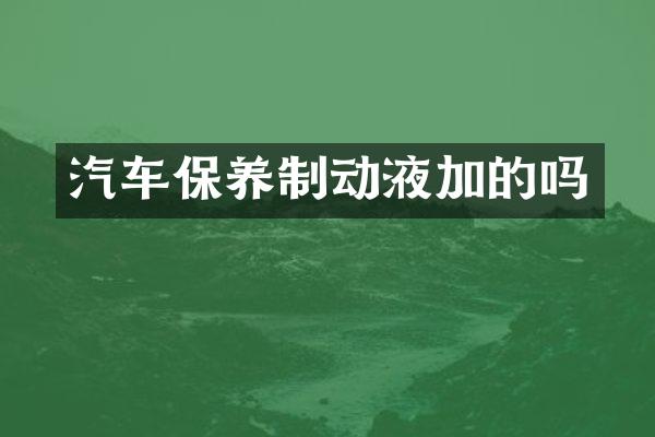 汽车保养制动液加的吗