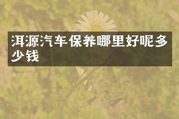 洱源汽车保养哪里好呢多少钱