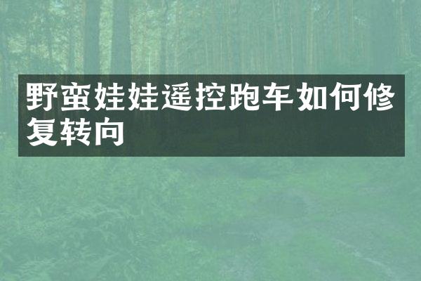 野蛮娃娃遥控跑车如何修复转向
