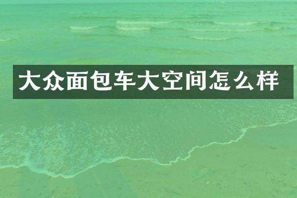 大众面包车大空间怎么样