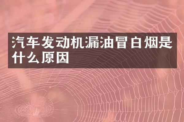汽车发动机漏油冒白烟是什么原因