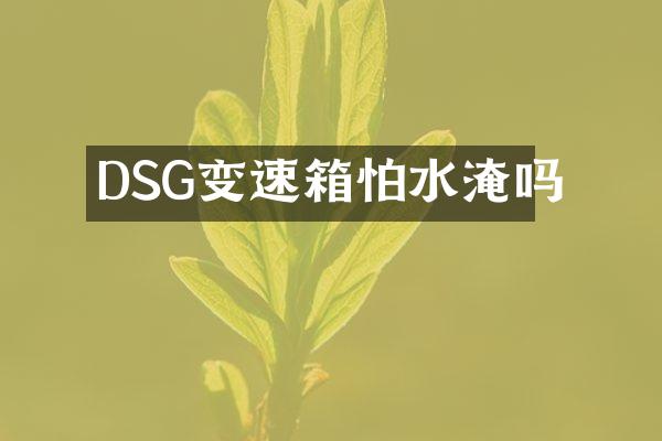 DSG变速箱怕水淹吗