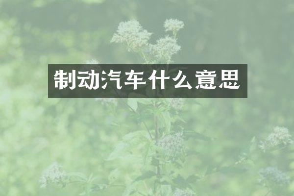 制动汽车什么意思