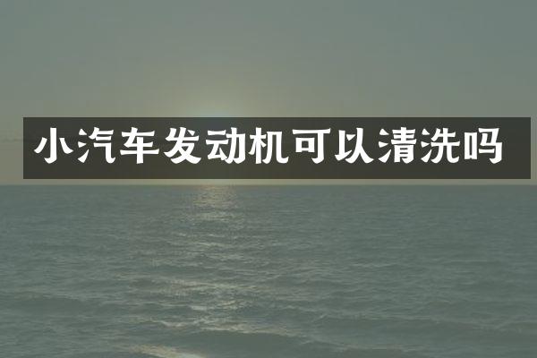 小汽车发动机可以清洗吗