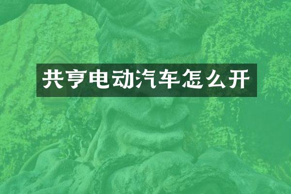 共亨电动汽车怎么开