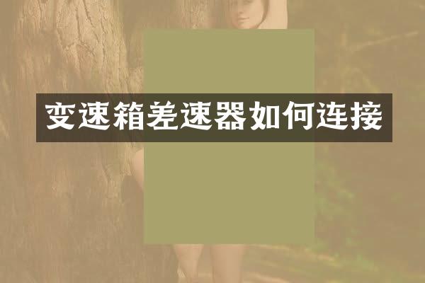 变速箱差速器如何连接