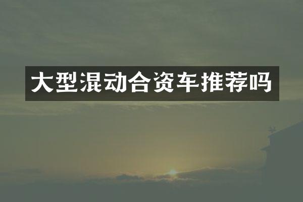 大型混动合资车推荐吗