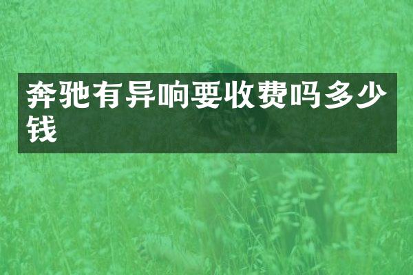 奔驰有异响要收费吗多少钱