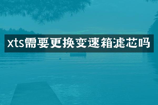 xts需要更换变速箱滤芯吗