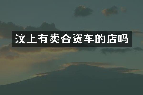 汶上有卖合资车的店吗