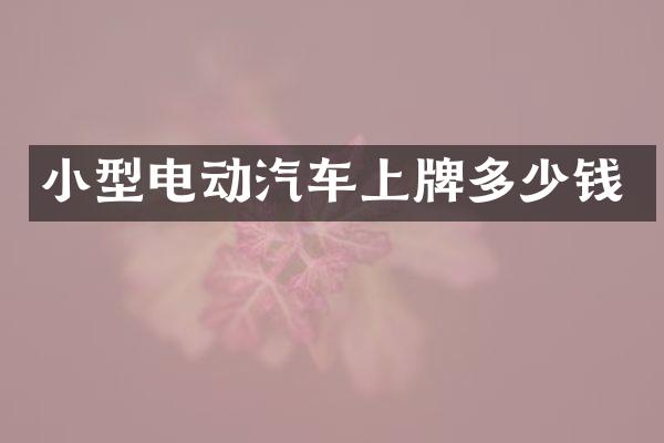 小型电动汽车上牌多少钱
