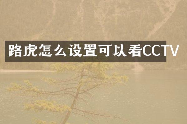 路虎怎么设置可以看CCTV