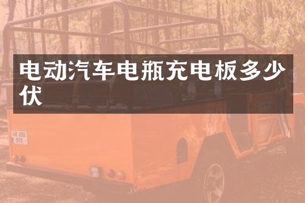 电动汽车电瓶充电板多少伏