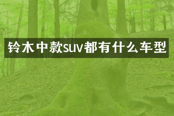 铃木中款suv都有什么车型