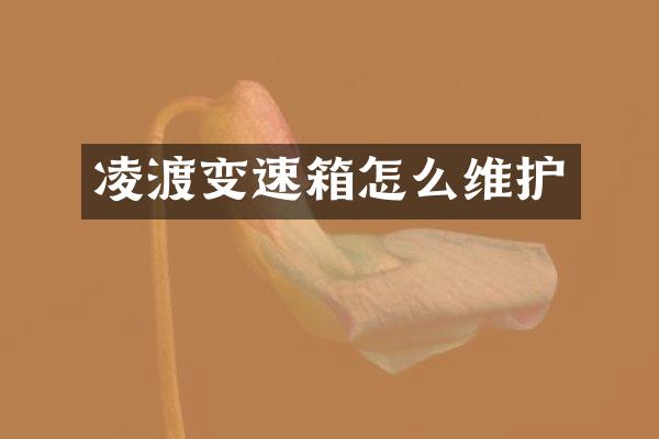 凌渡变速箱怎么维护
