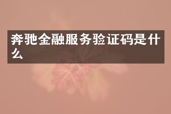 奔驰金融服务验证码是什么