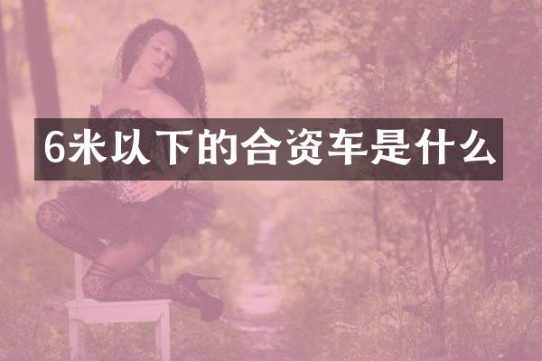 6米以下的合资车是什么
