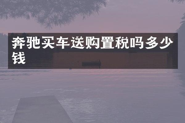 奔驰买车送购置税吗多少钱