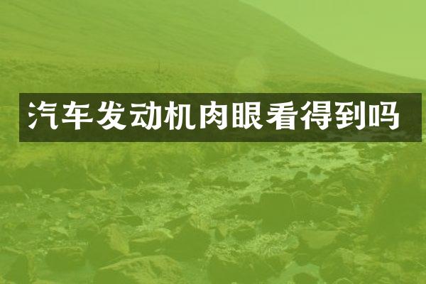 汽车发动机肉眼看得到吗