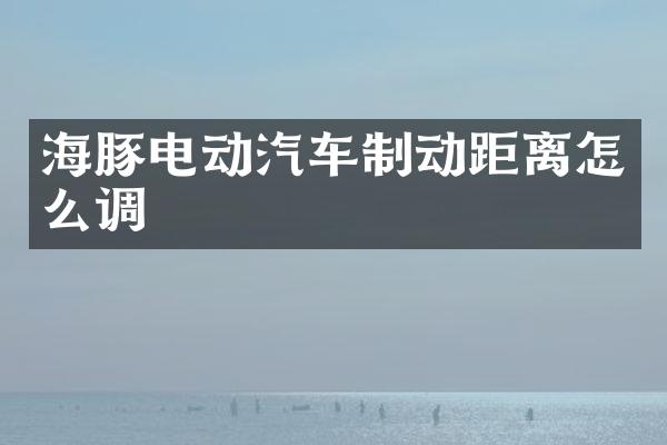 海豚电动汽车制动距离怎么调