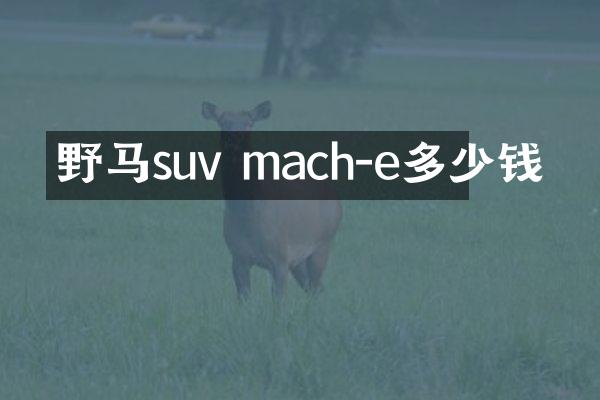 野马suv mach-e多少钱