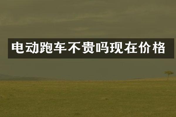电动跑车不贵吗现在价格