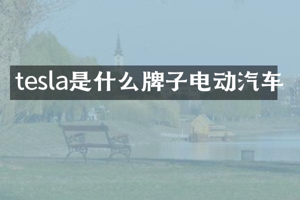tesla是什么牌子电动汽车
