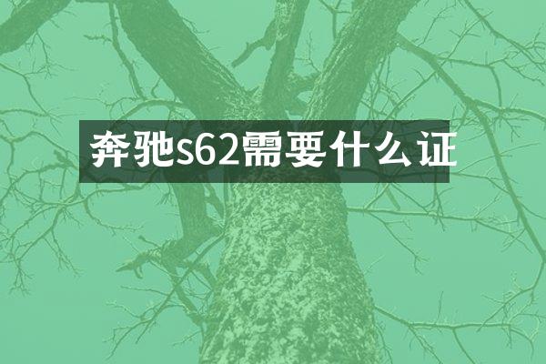 奔驰s62需要什么证