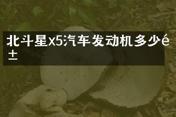 北斗星x5汽车发动机多少钱