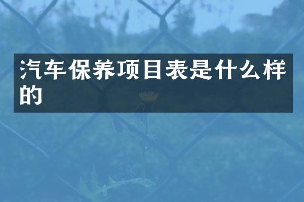 汽车保养项目表是什么样的