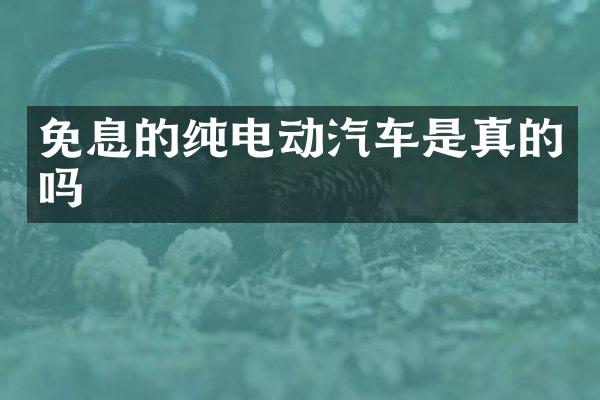 免息的纯电动汽车是真的吗