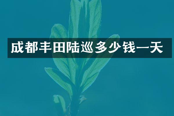 成都丰田陆巡多少钱一天