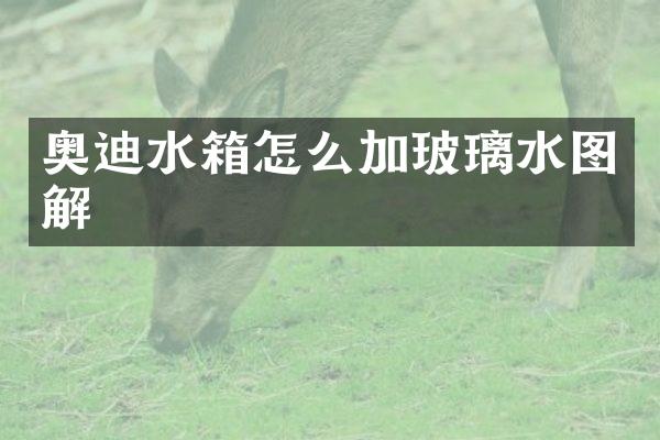 奥迪水箱怎么加玻璃水图解