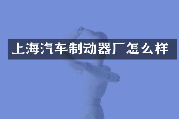 上海汽车制动器厂怎么样