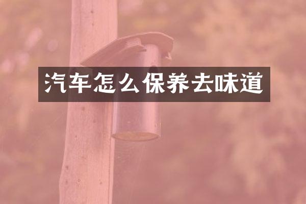 汽车怎么保养去味道