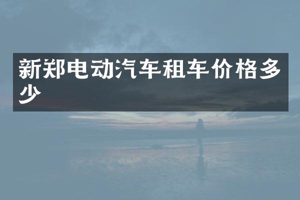 新郑电动汽车租车价格多少