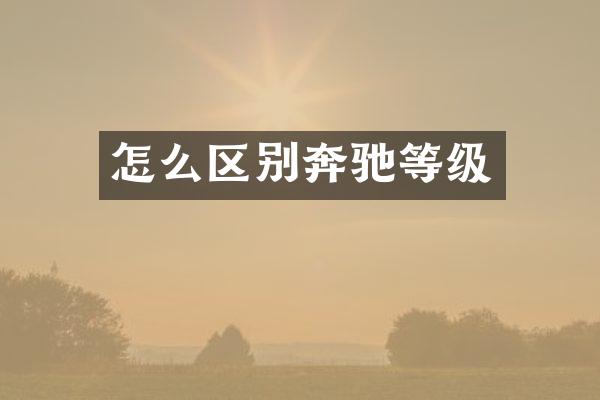 怎么区别奔驰等级