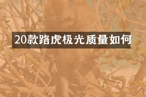 20款路虎极光质量如何