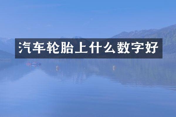 汽车轮胎上什么数字好