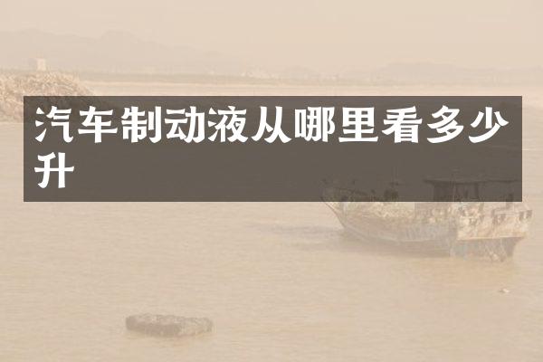 汽车制动液从哪里看多少升
