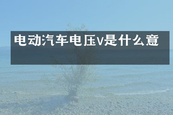 电动汽车电压v是什么意思