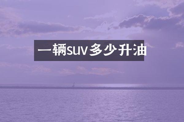 一辆suv多少升油