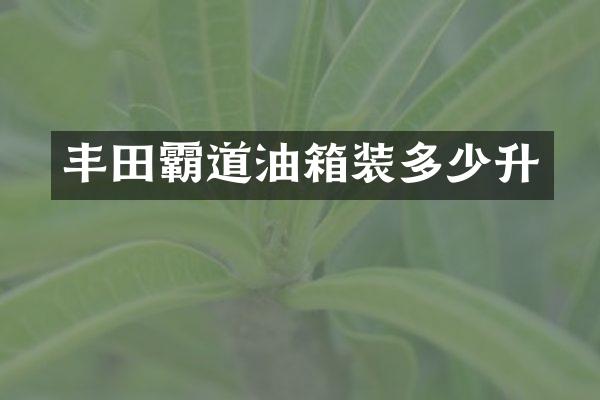 丰田霸道油箱装多少升