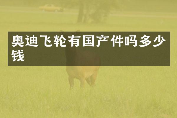 奥迪飞轮有国产件吗多少钱