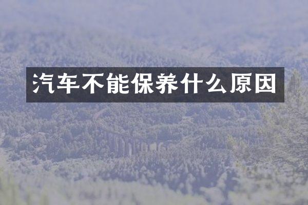 汽车不能保养什么原因